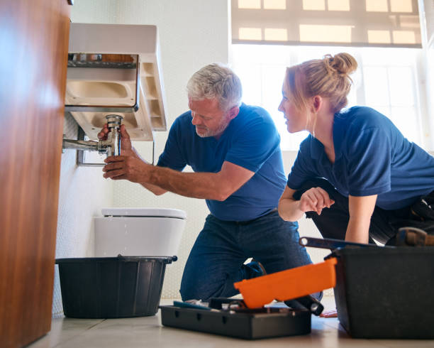 Best Drain Cleaning Services  in Eclectic, AL